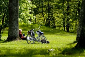 cykel_yananli_450x300