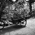 backfiets