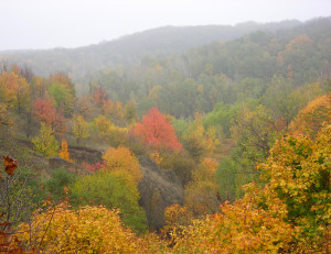 Осень, унылая пора очей очарованье